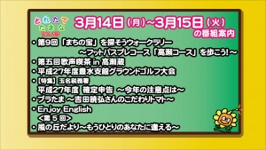 3.14～の番組案内