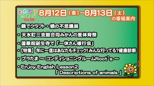 8.12～の番組案内